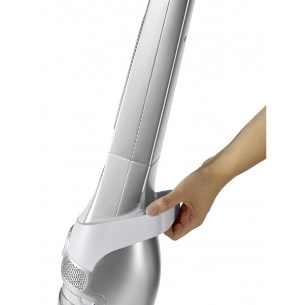 Aspirador vertical Rowenta RH8977WO