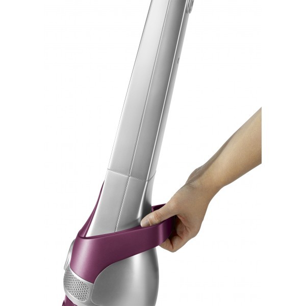 Aspirador vertical Rowenta RH8920