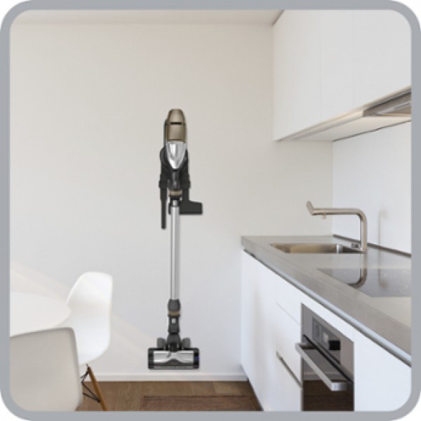 Aspirador vertical Rowenta RH9079WO