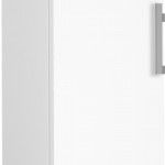 Arca Vertical BEKO B5RMFNE314W