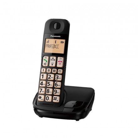 Telefone S/Fio PANASONIC KX-TGE310SP