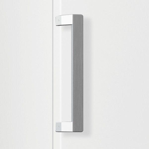 Arca Vertical BEKO RFNE290L41WN