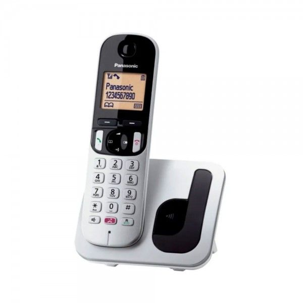 Telefone Sem Fio PANASONIC KXTGC250SPB