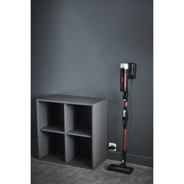 Aspirador Vertical ROWENTA RH2079WO X-Force Flex 9.6 Animal Care