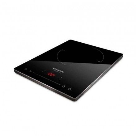 Placa de Induo Taurus 974.670