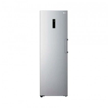 Arca Vertical LG GFE41PZGSZ