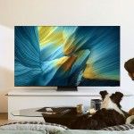 TV SAMSUNG 83" TQ83S95FAEXXC (OLED - 209 cm - 4K Ultra HD - Smart TV AI)