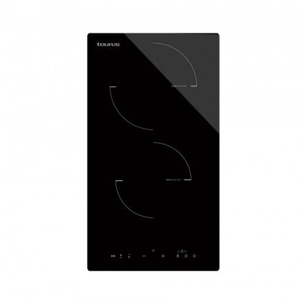 Placa de Induo TAURUS I3021MT