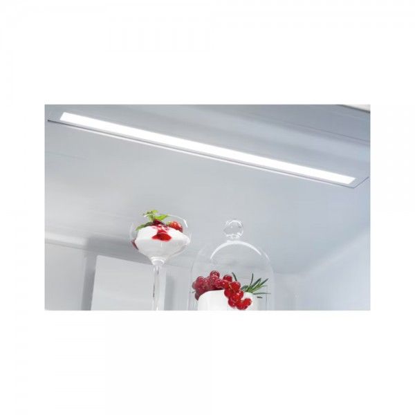 Frigorfico Combinado AEG ORC6M481EX