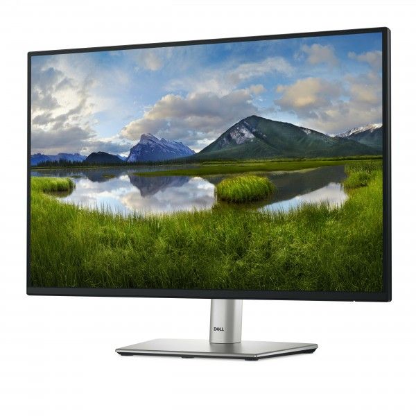 MONITOR DELL P2425E