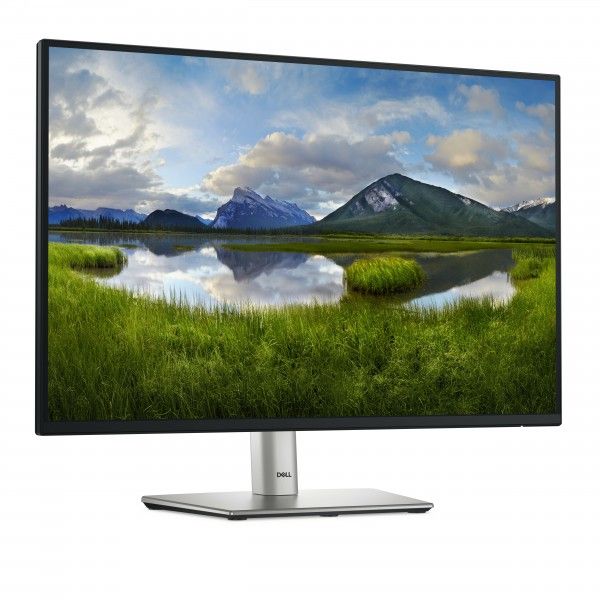 MONITOR DELL P2425E
