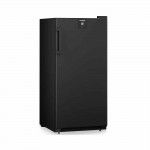 Cave de Vinho LIEBHERR WSbl 4201 GrandCru