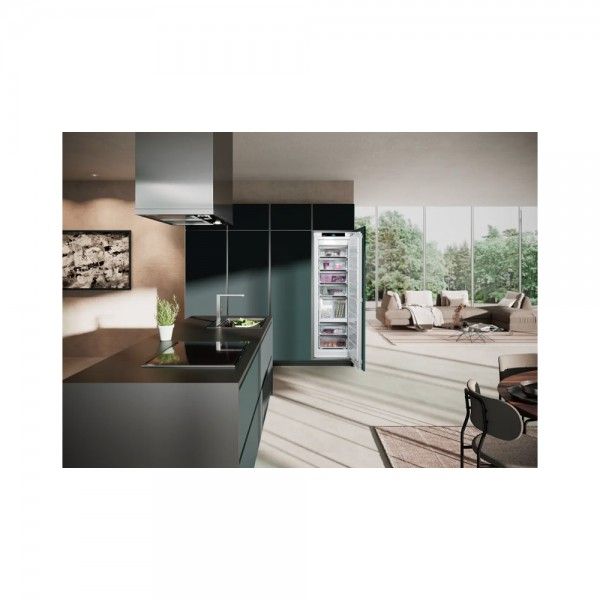 Arca Vertical de Encastre LIEBHERR SIFNAd 5188 Peak