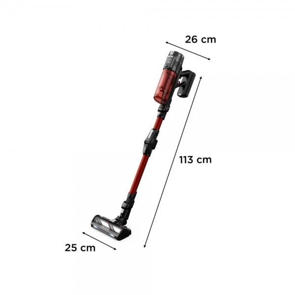 Aspirador Vertical ROWENTA X-Force Flex 13.60 Animal Care RH9A73WO