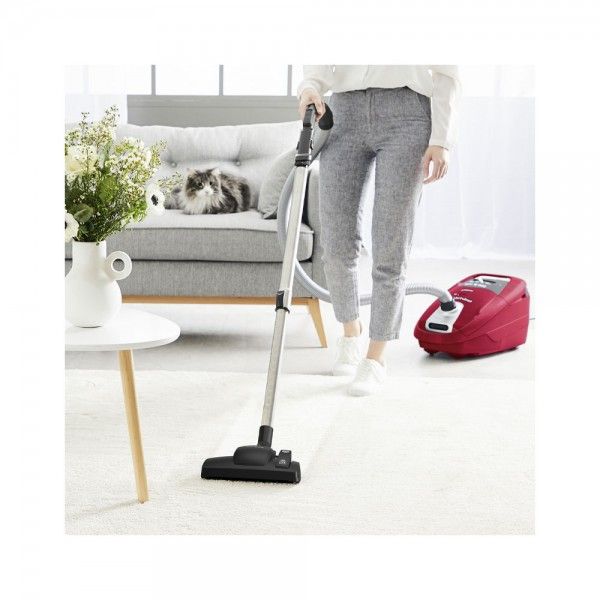 Aspirador ROWENTA RO7793EA Silence Force Home & Car Pro