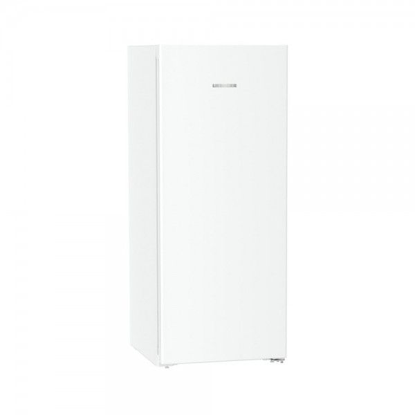 Arca Vertical LIEBHERR FNE 4605