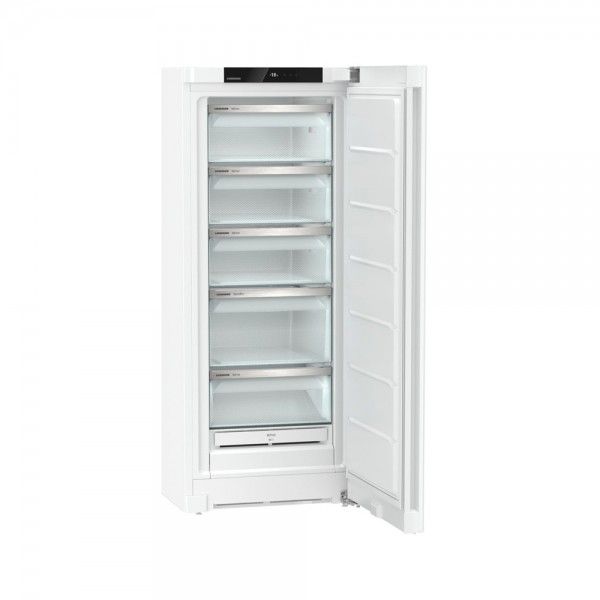 Arca Vertical LIEBHERR FNE 4605