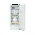 Arca Vertical LIEBHERR FNE 4605