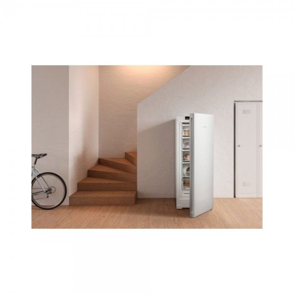 Arca Vertical LIEBHERR FNE 4605