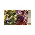 Varinha M�gica ErgoMaster BOSCH MSM6M830