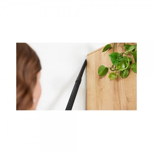 Aspirador com Saco ProAnimal BOSCH BGB41PET1