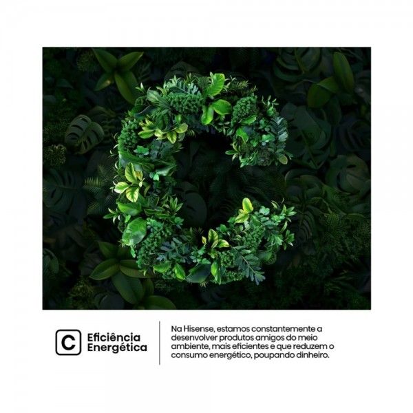 Arca Vertical HISENSE FT3K310SAFC