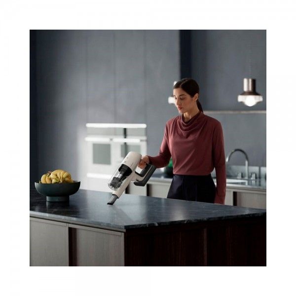 Aspirador Vertical AEG AP81UB25SH