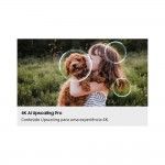 TV SAMSUNG 65" TQ65QN80FAUXXC (NeoQLED - Mini LED - 4K - Smart TV - 165 cm)