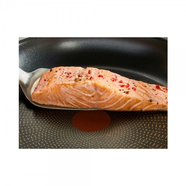 Frigideira EMOTION+ Indu��o 24cm  TEFAL E32704PT