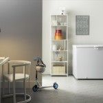 Arca Congeladora Horizontal INDESIT OS2A300H
