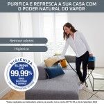 M�quina de Engomar a Vapor ROWENTA QR2022D1 Ixeo Power