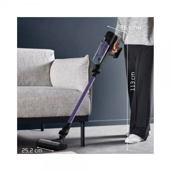 Aspirador Vertical ROWENTA X-Pert 5.80 Allergy RH5A32E0