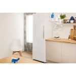 Arca Vertical INDESIT UI6 F2T W