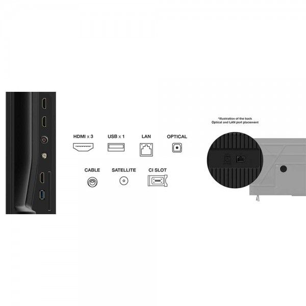 TV TCL 43