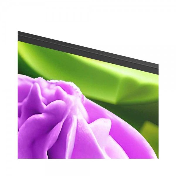 TV LED 43